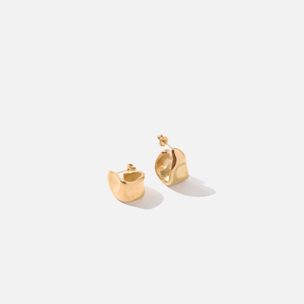Pair of gold earrings on a white background